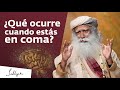 ¿Qué ocurre en la mente de un paciente en coma? | Sadhguru Español