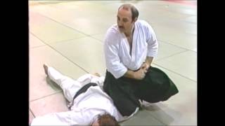 Hakko Ryu seminar in Spain part 2 with Antonio Garcia