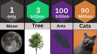 How Many Things on Earth