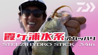 DAIWA 実釣ルアーマニュアル STEEZ ハイドロスティック 橋本卓哉