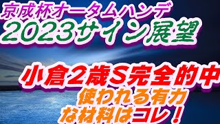 京成杯オータムハンデ2023サイン展望｜予想のポイントは示唆の強○材料はコレ！