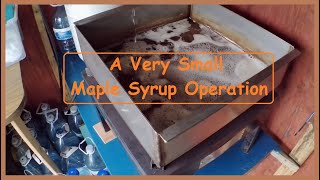 A Very Small Maple Syrup Operation