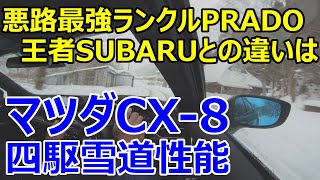 【マツダCX-8で雪山を駆ける！】悪路最強プラド、雪道の王者SUBARUとの違いは？CX-8雪道性能