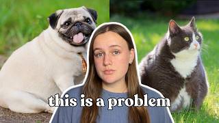 Are We in a Pet Obesity Epidemic?