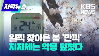 [자막뉴스] 일찍 찾아온 봄 '만끽'...지자체는 악몽 덮쳤다 / KBS 2023.04.03.