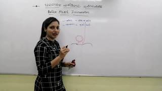 12 ll Pollen pistile interaction ll પરાગરજ સ્ત્રિકેસર આંતર સંબંધ