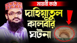 মায়াবী কন্ঠে দাহিয়াতুল ক্বালবীর ঘটনা। Abdullah Al Amin waz | আব্দুল্লাহ আল আমিন ওয়াজ | ২য় সাঈদী