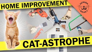 Home Improvement Projects will Stress your Cats!