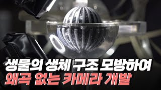 [핫클립] 농게를 모사해 왜곡 없이 360°로 촬영하는 카메라 / YTN 사이언스