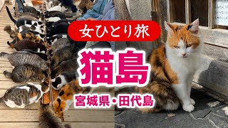 【女ひとり旅】猫島／宮城県田代島 2024.10【国内旅行】