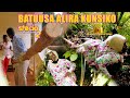 Stecia Mayanja Comedy[Batuusa Alira Kunsiiko Season 2 Episode 116]