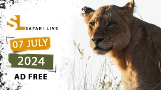 SafariLIVE Sunrise Safari - 07 July 2024 -  AD FREE