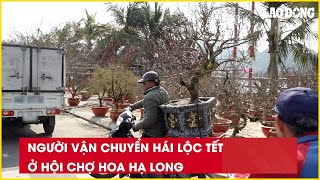 Người vận chuyển hái lộc Tết ở Hội chợ hoa Hạ Long| Báo Lao Động