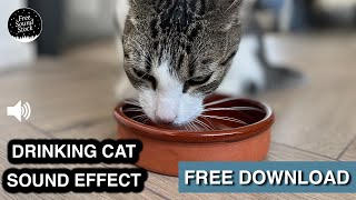 Cat Drinking Sound Effect