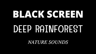Tropical Rainforest Sounds with Rain 10 Hours Black Screen Relaxing Sleep Dark Screen, Sleep well