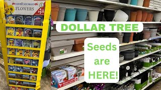 NEW Shop with me for Garden Seeds at Dollar Tree Store