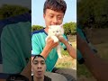 siapa sayang sama kucing