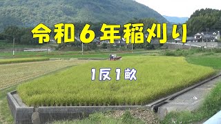 【大きめの田んぼ】令和６年稲刈り B2 【作業動画】