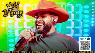 RAFINHA O BIG LOVE - CD NOVO MARÇO 2025 - RAFINHA O BIG LOVE MÚSICAS NOVAS