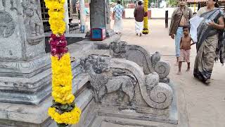 koipallikaranma Devi temple കൊയ്പ്പള്ളികാരാൺമ ദേവീക്ഷേത്രം