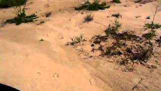 BRUCE KNIGHT AT THE MENINDEE LAKES WITH BEN BEETON FOX FOOTPRINTS