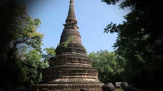 泰國清邁｜烏蒙寺禪修｜meditation/Thai/Thailand/chiangmai/wat umong