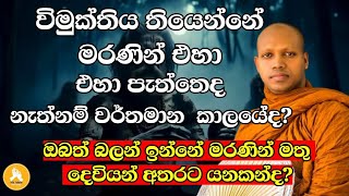 ඔබත් බලන් ඉන්නේ මරණින් මතු දෙවියන් අතරට යනකන්ද?| Ven Hasalaka Seelawimala thero