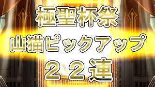 【乖離性MA】ただ山猫ピックアップガチャを引く！【極聖杯祭22連】