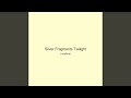 Silver Fragments Twilight