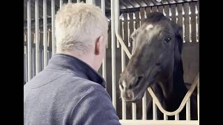 Very Angry horse! "He will load but I can't keep him in he will run over me, to get out!". BHSII