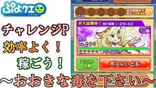 【ぷよクエ】チャレンジPを効率よく稼ごう！Lv200【ぷよクエ劇場#30】