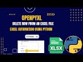 Excel Automation Tutorial - 16 | Deleting Rows in Excel | openpyxl | Python