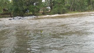 അട്ടപ്പാടിയിൽ  വനവാസികളും,കർഷകരും പ്രതീക്ഷയിൽ