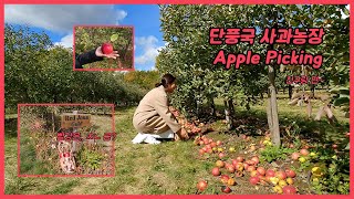 캐나다 사과농장에 가보았다!  I went apple-picking  (1/3)  l  The Apple Orchard Inc.