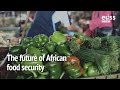 The future of African food security