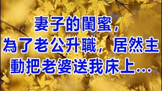 妻子的閨蜜，為了老公升職，居然主動把老婆送我床上 | 深夜讀書 | 情感故事 | 家庭倫理 | 婚姻 | 小说 | 兩性情感 | 故事 | 外遇 | 小姨子 | 丈母孃 | 老闆娘 | wayne調查