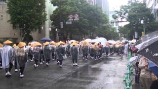 博多どんたく２０１６パレード　雨で中止