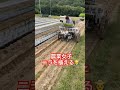 ニラの定植🎥動画提供🎥yamamotofarm嫁 岡山黄ニラ農家さん。（bgm編集済み） ニラ 農業機械 定植 農家 農業女子 農girl農life