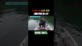 【イケハラ合宿】シマノの大人気ロッド２機種の特性、使い分けを詳しく説明！