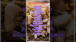 போதிய ஆற்றலை தரும் வேர்கடலை #healthtipsintamil #groundnut