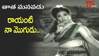 Raayanti Na mogudu Song | Srividya Shocking Item Song | Tata Manavadu movie | Old Telugu Songs