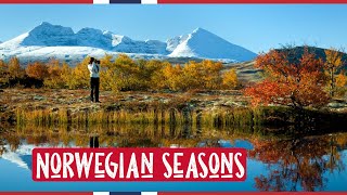 Norwegian Seasons | Visit Norway