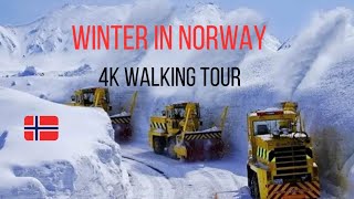 Oslo Norway//Freezing Cold Walking Tour[6 Months Night \u0026 6 Months Day]