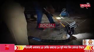 গাবতলী এলাকায় ১৫ কেজি ওজনের ১০ ফুট লম্বা কিং কোবরা উদ্ধার