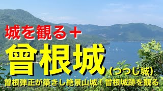 【城を観る＋】《曾根城（つつじ城）》2020 〜曽根弾正が築きし絶景山城！曾根城跡を観る〜