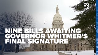 Democratic leaders in Michigan calling for action as nine bills remain stalled