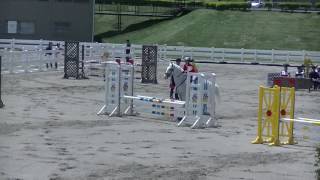 2017.6.2 第61回関東学生馬術女子選手権大会 女子選手権1回戦 障害飛越競技 椎野叶子 慶雪号