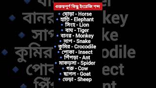 অল্প কিছু ইংরেজি শব্দ || Daily use English words and Vocabulary #shorts #vocabulary