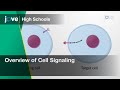 Overview of Cell Signaling | Cell Bio | Video Textbooks - Preview