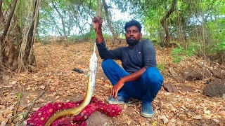 Incredible Fishing!😱 Monster EEL Fishing in Lake | Mullet Fishing | Big Tilapia Hook Fishing Village